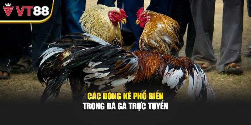Các dòng kê phổ biến trong đá gà trực tuyến