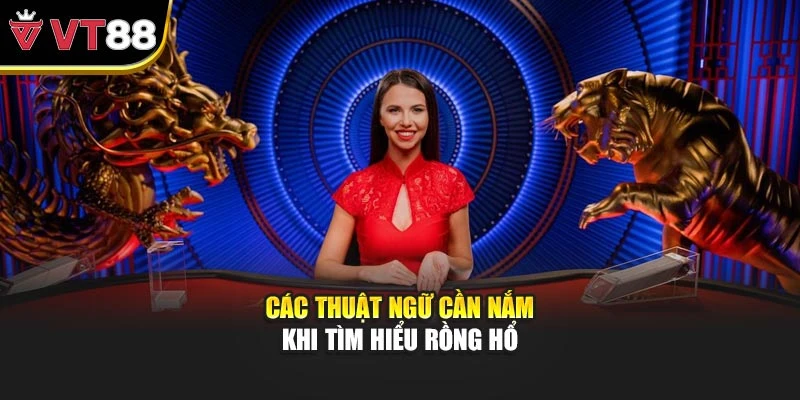 Các thuật ngữ cần nắm khi tìm hiểu rồng hổ