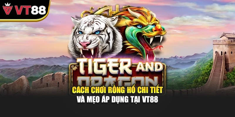 Cách Chơi Rồng Hổ Chi Tiết Và Mẹo Áp Dụng Tại VT88