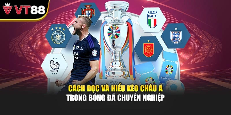 Cách đọc và hiểu kèo châu Á trong bóng đá chuyên nghiệp