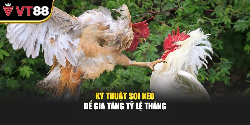 Kỹ thuật soi kèo để gia tăng tỷ lệ thắng