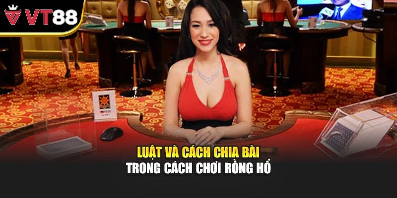 Luật và cách chia bài trong cách chơi rồng hổ