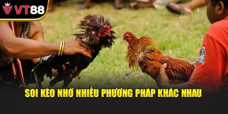 Soi kèo nhờ nhiều phương pháp khác nhau